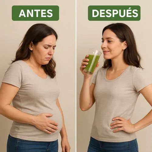 Bloom Original | Batido Verde Desinflamante